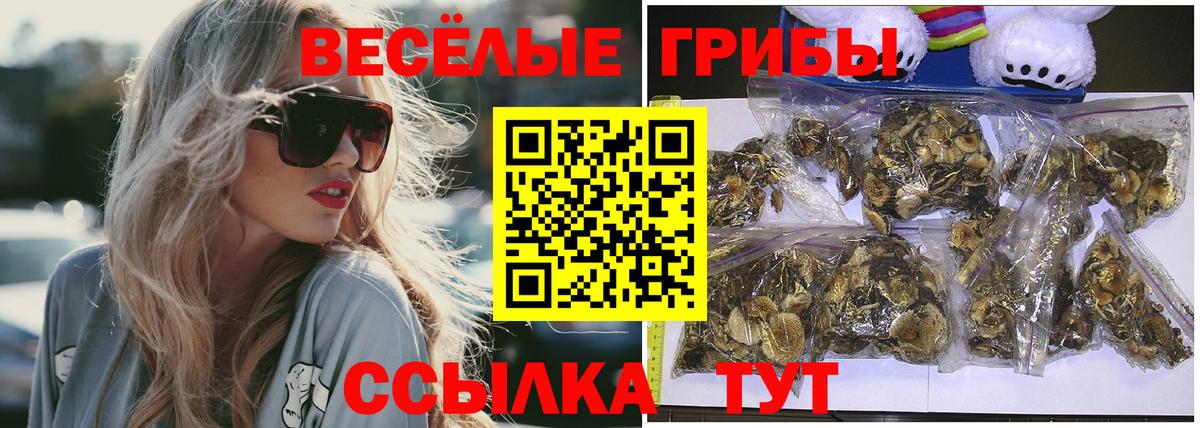 Псилоцибиновые грибы прущие грибы  Вход с VPN  Юрга 