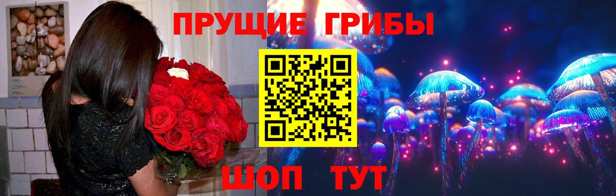 Галлюциногенные грибы Psilocybine cubensis Юрга